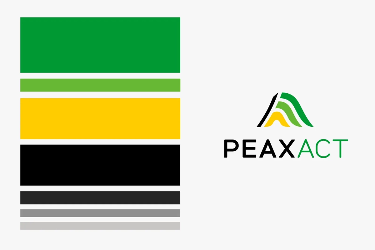 Ansicht der Corporate Design-Elemente von Peaxact – inklusive Logo und Farbpalette mit Verläufen von Gelb bis Grün. Entwicklung im Rahmen des Rebrandings.