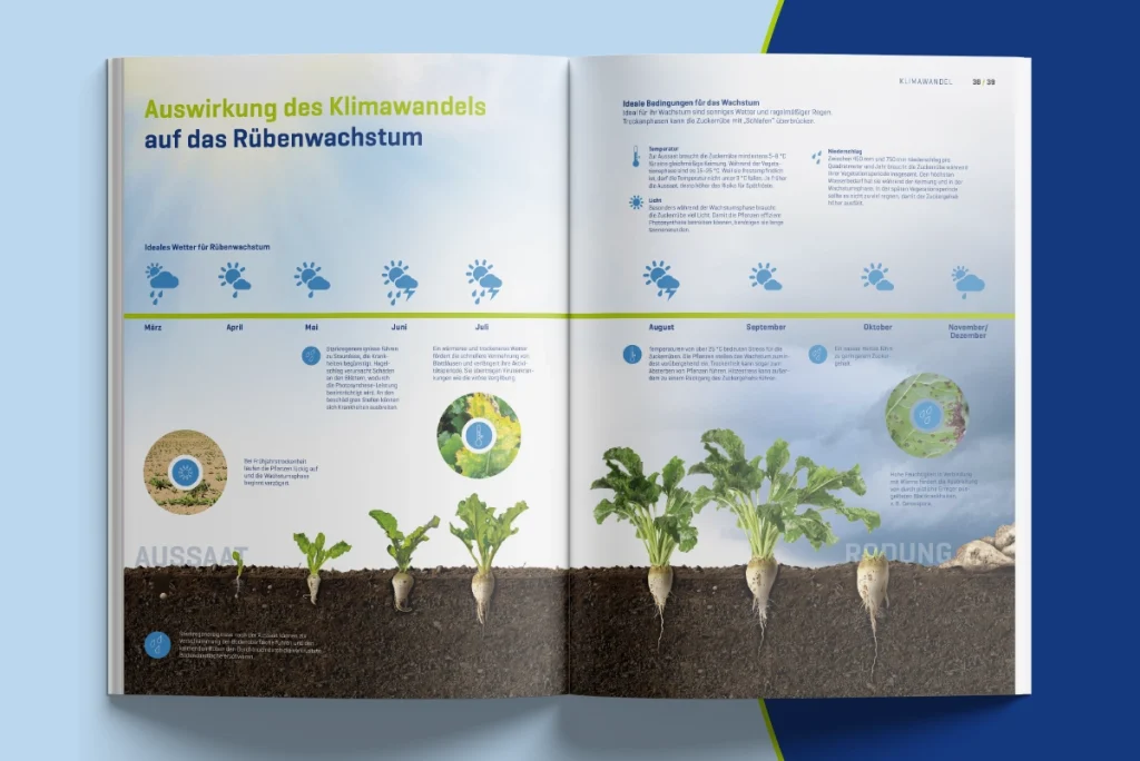 View of the anniversary publication with an excerpt from a page on the topic of the effects of climate change on beet growth for the Verband Wirtschaftliche Vereinigung Zucker e. V. (Economic Association of Sugar).